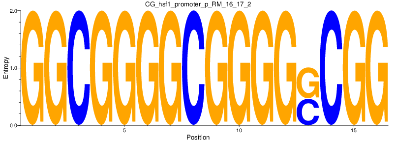 CG_hsf1_promoter_p_RM_16_17_2