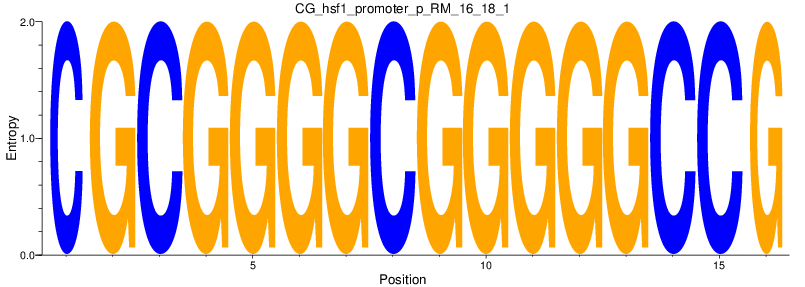 CG_hsf1_promoter_p_RM_16_18_1