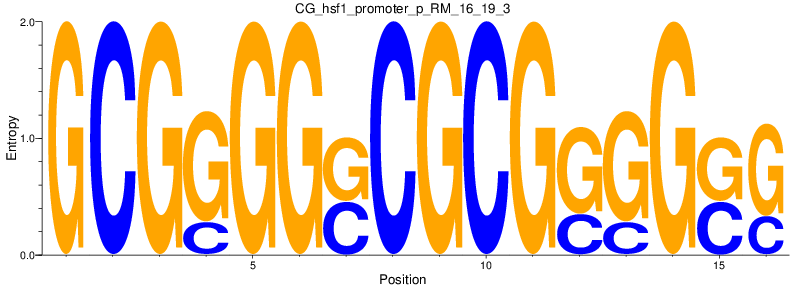 CG_hsf1_promoter_p_RM_16_19_3