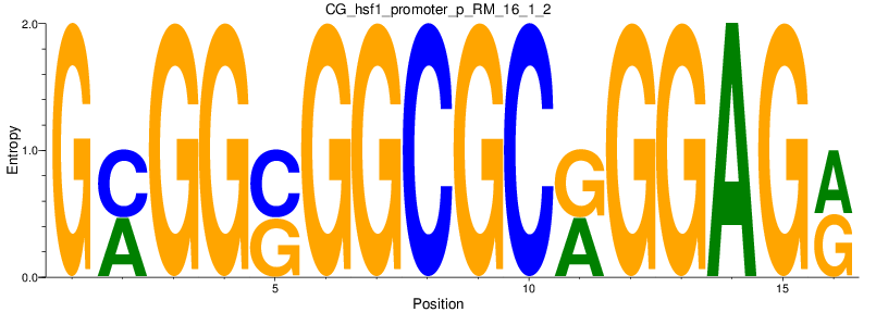 CG_hsf1_promoter_p_RM_16_1_2