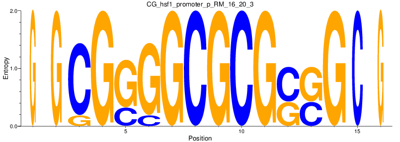 CG_hsf1_promoter_p_RM_16_20_3