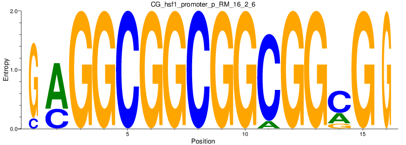 CG_hsf1_promoter_p_RM_16_2_6