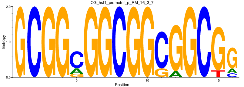 CG_hsf1_promoter_p_RM_16_3_7