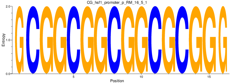 CG_hsf1_promoter_p_RM_16_5_1