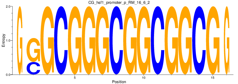 CG_hsf1_promoter_p_RM_16_6_2