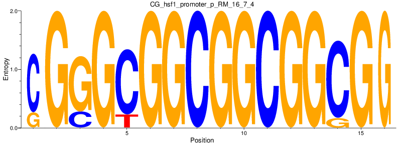 CG_hsf1_promoter_p_RM_16_7_4