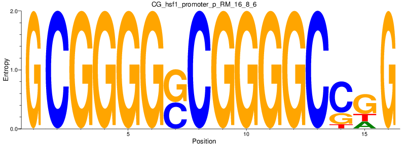 CG_hsf1_promoter_p_RM_16_8_6
