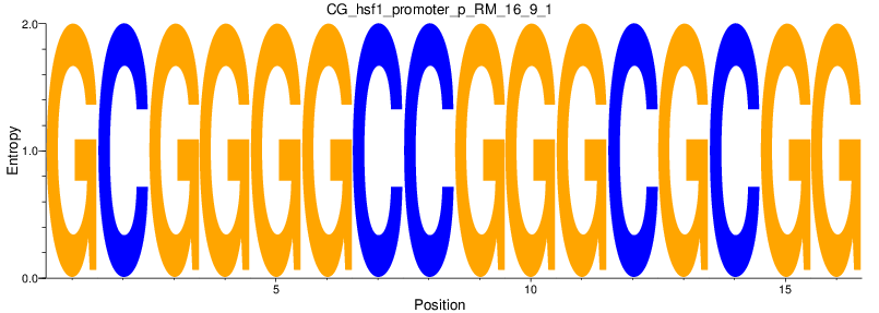 CG_hsf1_promoter_p_RM_16_9_1